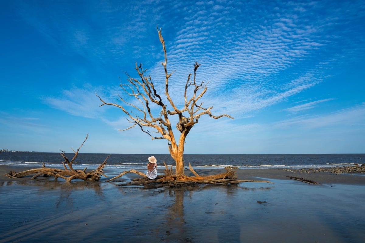 Girl sitting on the tree branch on the beach. Driftwood Beach on Jekyll Island, Georgia, USA.