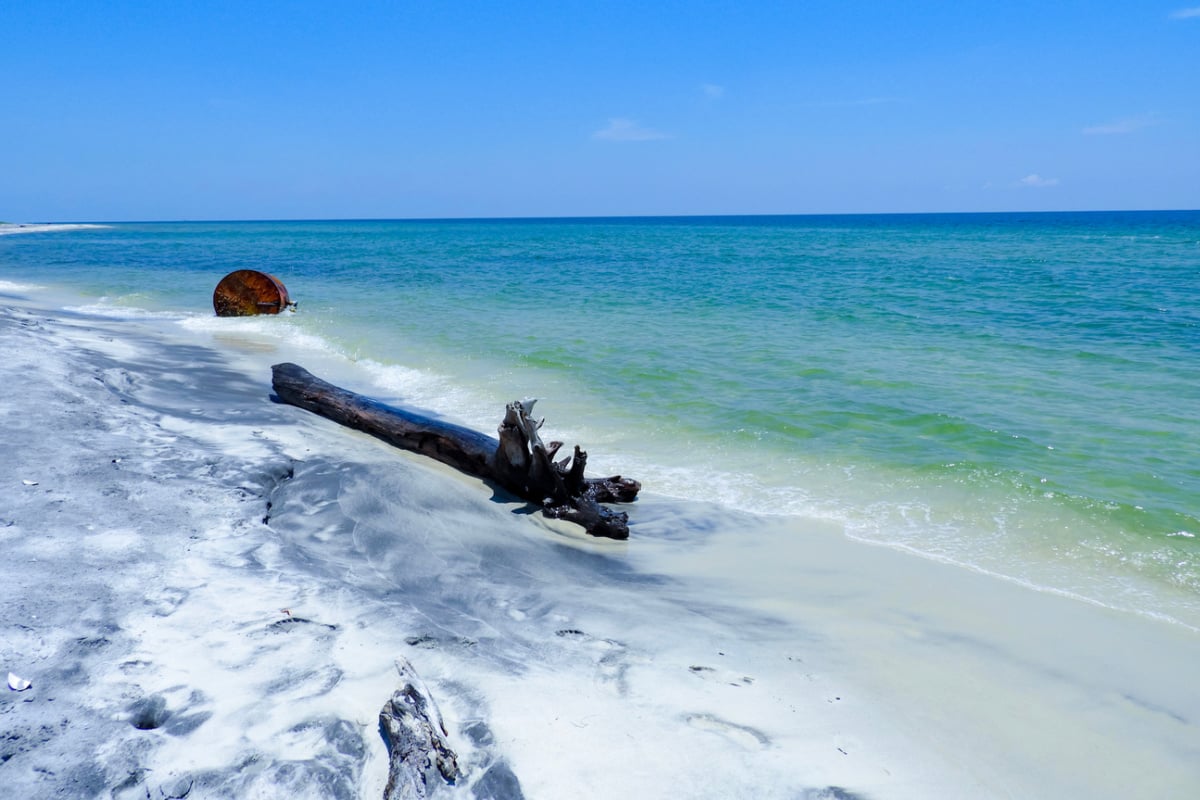 Driftwood on Ship Island